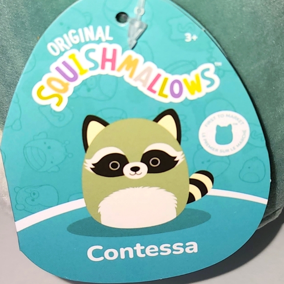 CONTESSA 🦝 FTM ☆ Green Racoon Original Squishmallow by Kelly Toy ☆》NWT《☆ - Picture 3 of 8